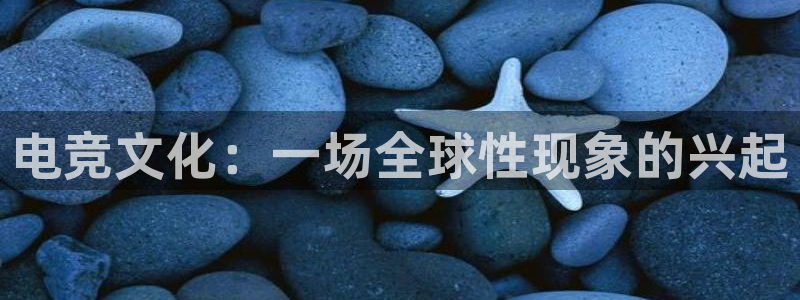 完美电竞平台官网网址：电竞文化：一场全球性现象的兴起