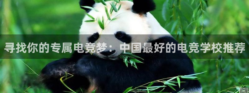 完美电竞平台官网网址：寻找你的专属电竞梦：中国最好的电竞学校推荐