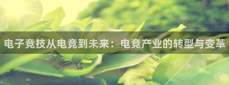 完美电竞下载：电子竞技从电竞到未来：电竞产业的转型与变革