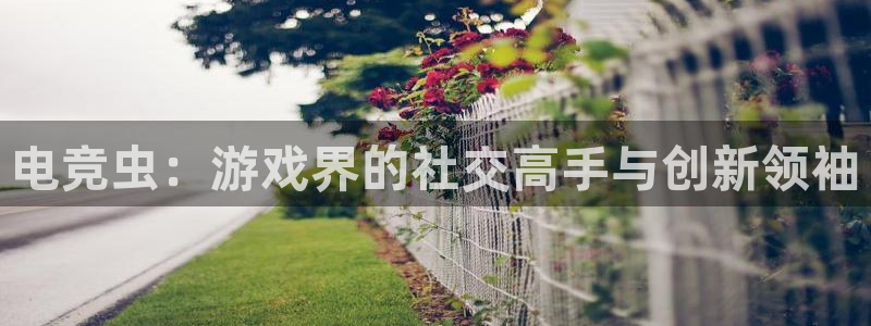 cs完美电竞平台：电竞虫：游戏界的社交高手与创新领袖