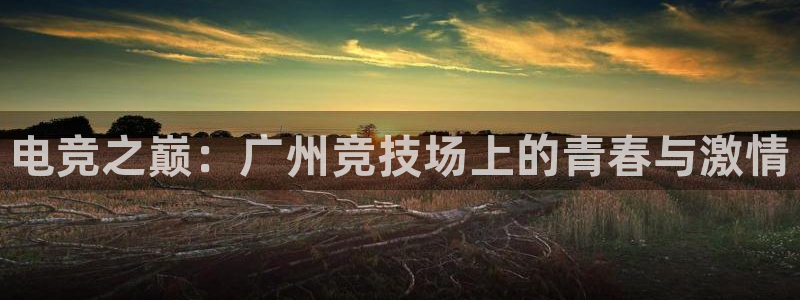 完美电竞联赛：电竞之巅：广州竞技场上的青春与激情