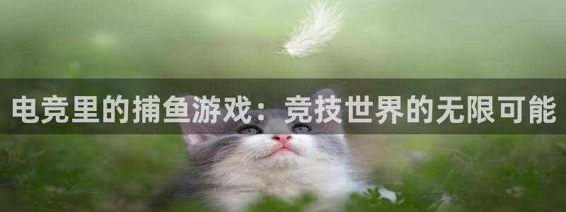 完美电竞账号：电竞里的捕鱼游戏：竞技世界的无限可能